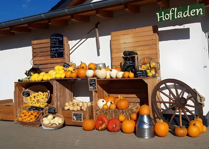 Wilhelmshof Apartment Sinzig